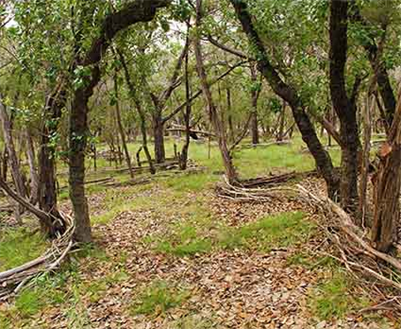 Austin Land Art & Earthworks
